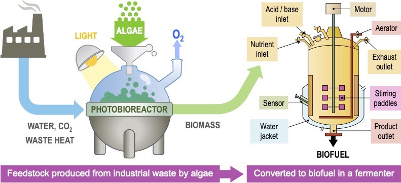 biofuel
