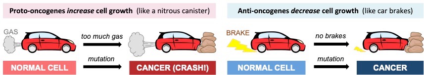 carcinogens