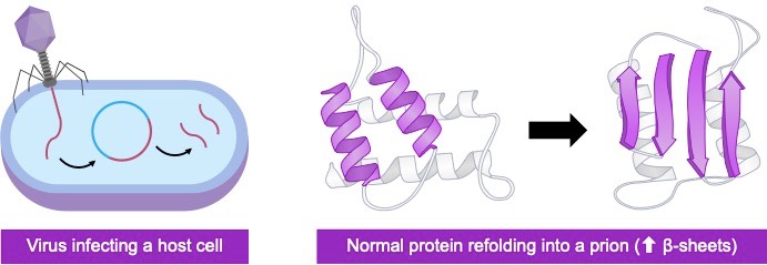 non-cellular pathogens