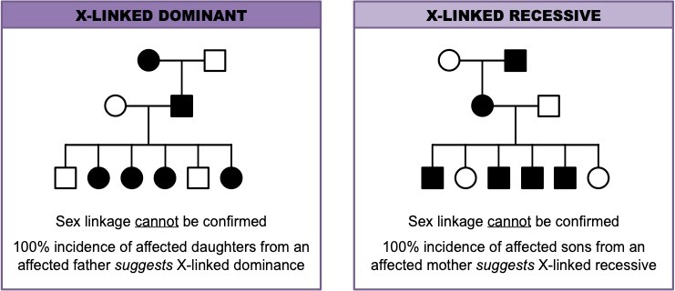 pedigree2