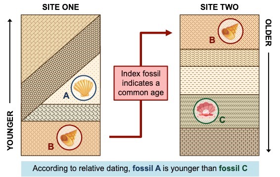 relative dating