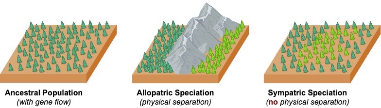 speciation