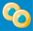 Cell Cycle