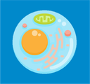 Cell Theory