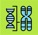 Chromosomes
