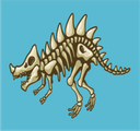 Fossils