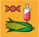 Genetic Modification