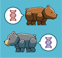 Molecular Evidence