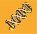 Nucleic Acids