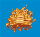 Organelles