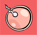 Sexual Reproduction