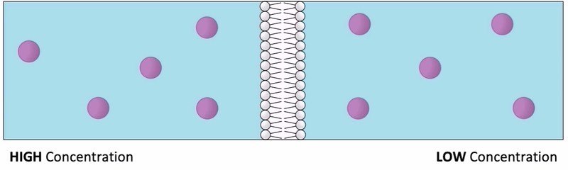 simple-diffusion